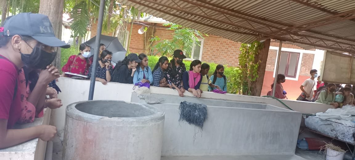 b8f08d52-737d-4d39-b4a4-314fd039a505